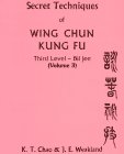 Secret Techniques of Wing Chun Kung Fu 3