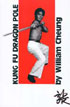 Kung Fu Dragon Pole